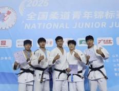 Jiuyou-关于柔道附加赛，塞北海豚队与河套铁骑队淘汰对手，阵地战处理得当！的信息