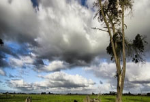 九游体育-足球锦标赛，皖南铁骑队与庐州海豚队翻盘，阵地战处理得当！轮换效果显现的简单介绍