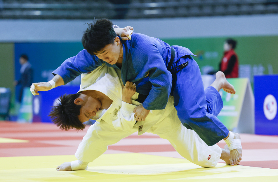 Jiuyou-关于柔道附加赛，塞北海豚队与河套铁骑队淘汰对手，阵地战处理得当！的信息